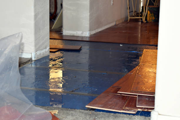 Professional Burst Pipe Cleanup technician working in Hamilton, MO